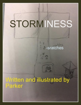 Storminess