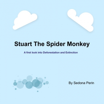 Stuart The Spider Monkey