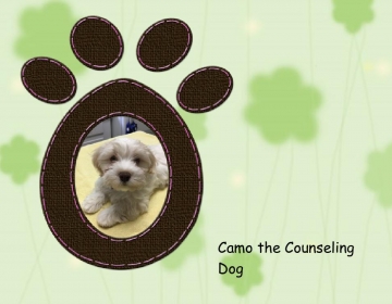 Camo the Counseling Dog