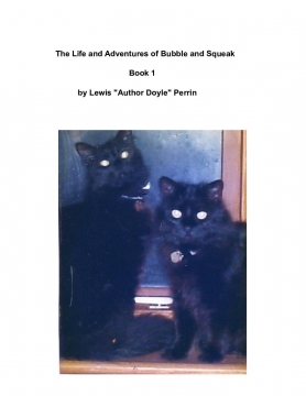 The Life and Adventures of Bubble and Squeak    -   Book 1