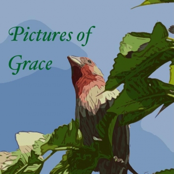Pictures of Grace