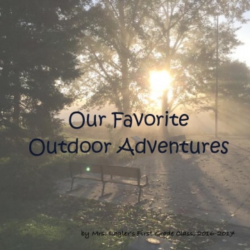 Our Favorite Outdoor Adventures