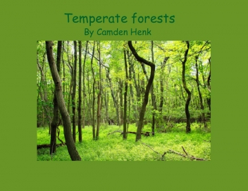 Temperate forest
