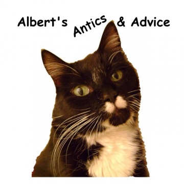 Albert's Antics and Advice