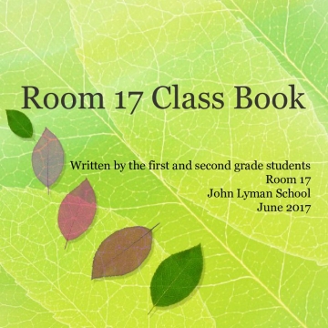 Room 17 Book