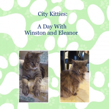 City Kitties: A Day With Winston and Eleanor