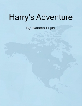 Harry's Adventure