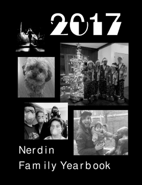 2017 Nerdin Family Yearbook
