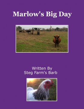 Marlow's Big Day