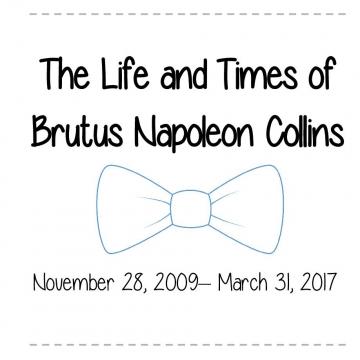 Life and Times of Brutus Napoleon