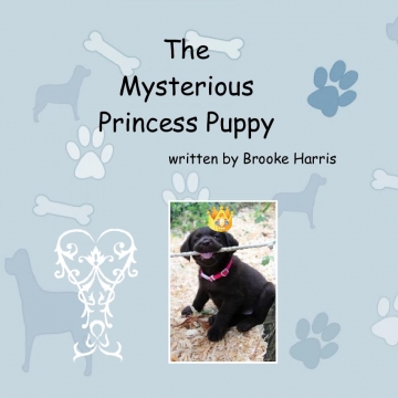 The Mysterious Princess Puppy