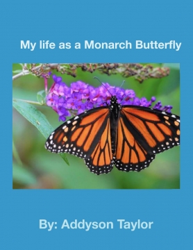 My life as a Monarch Butterfly
