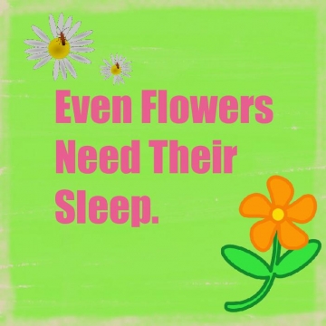 Even Flowers need their sleep