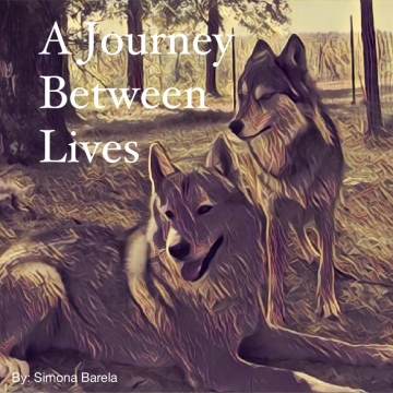 A Journey Between Lives