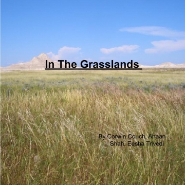 In the grasslands