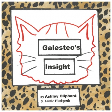 Galesteo's Insight