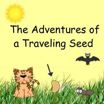 The Adventures of a Traveling Seed
