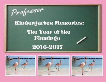 Kindergarten Memories: The Year of the Flamingo