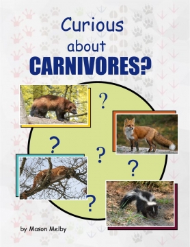 Curious About Carnivores?