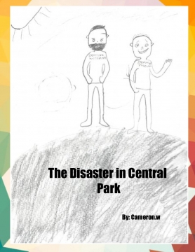 The Disaster in Central Park
