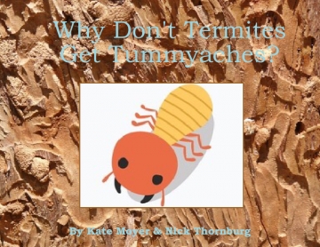 Why Don't Termites Get Tummyaches?