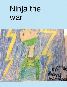Ninja the war