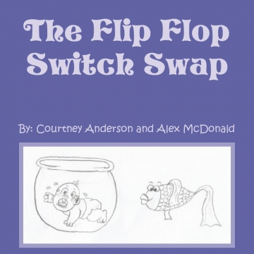 The Flip Flop Switch Swap