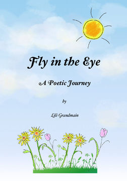 Fly in the Eye