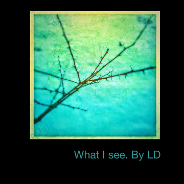What I see. By Ld