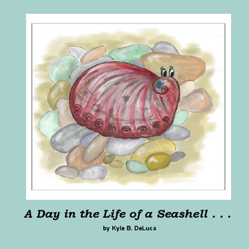 A Day in the Life of a Seashell . . .