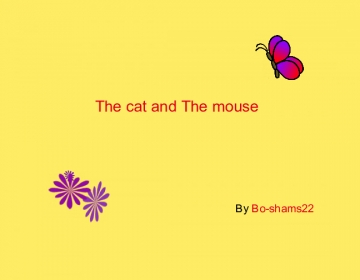 The cat and The mouse