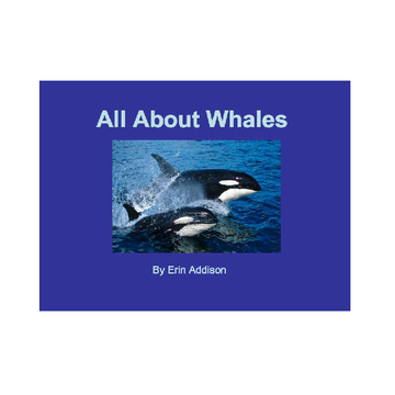 All About Whales
