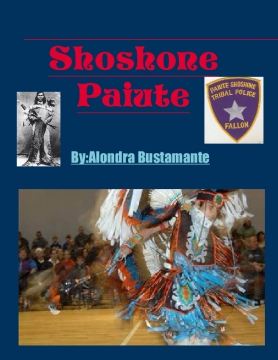 Shoshone paiut