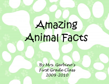 Amazing Animal Facts