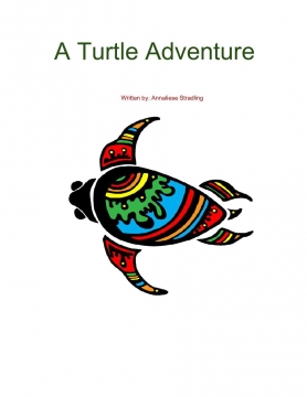 A Turtle Adventure