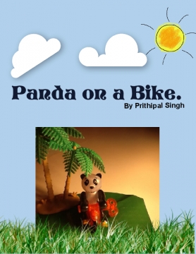 Panda On A Bike.