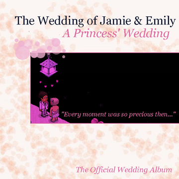 The Wedding of Emily & Jamie