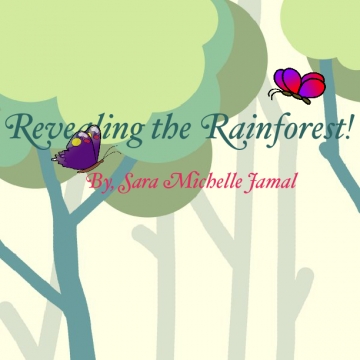Revealing The Rainforest