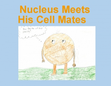 Nucleus Meets His Cell Mates