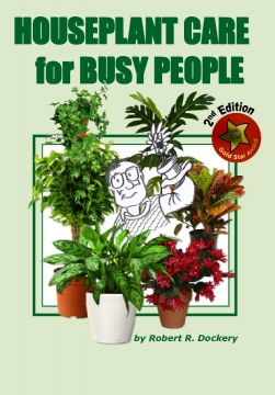 HOUSE PLANT CARE FOR BUSY PEOPLE