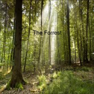 the forrest