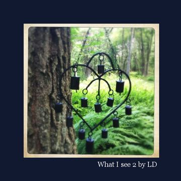 What I see 2 by LD