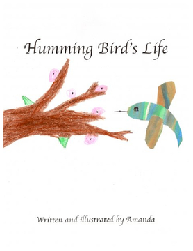 Humming Bird's Life