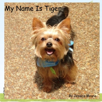 My Name Is Tiger