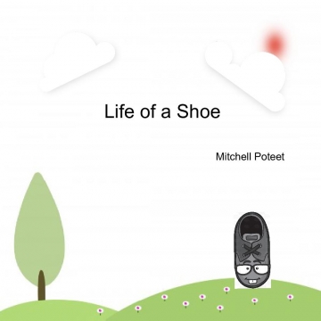 The Life of a Shoe