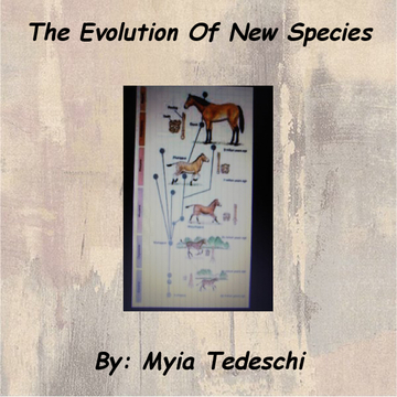The Evolution Of New Species