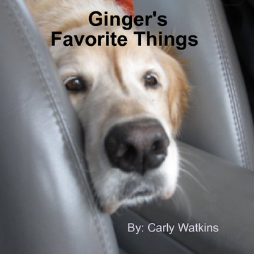 Things Ginger Loves