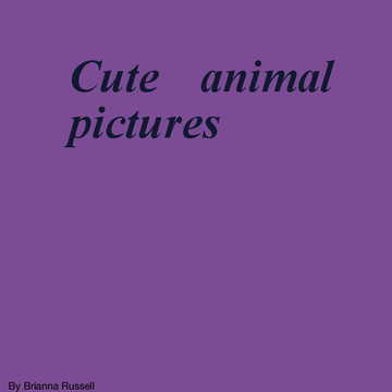 Cute animal pictures