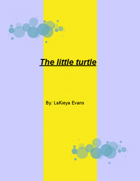 The little turtle