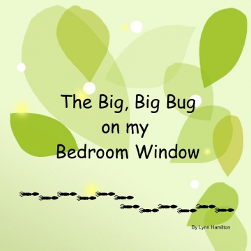 The Big, Big Bug on my Bedroom Window